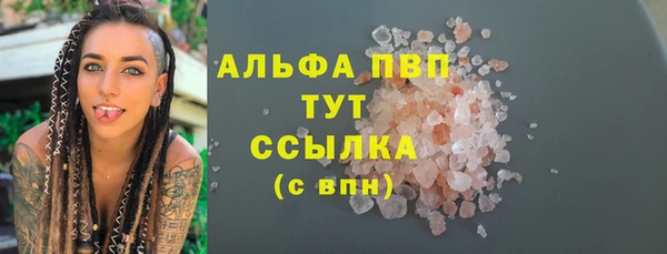спиды Аркадак