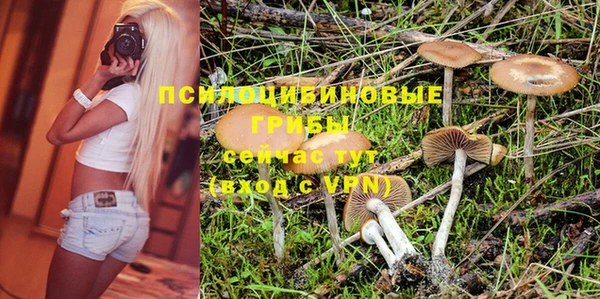 гидропоника Арсеньев