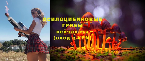 спиды Аркадак