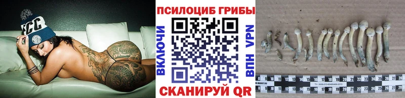 Псилоцибиновые грибы Magic Shrooms  Купить  Пермь 